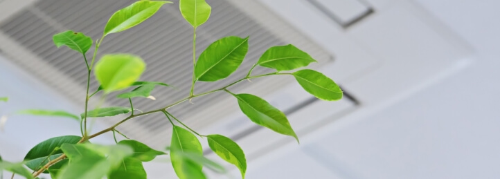 Indoor Air Quality Services in Memphis, TN